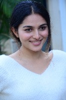 Kayadu Lohar Photos